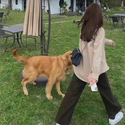 死人开关